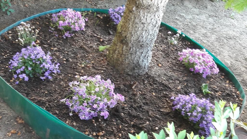 Szaloky Apartmanhaz Gyenesdiás Екстериор снимка
